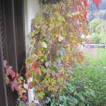 Landhaus Gasteinerblick